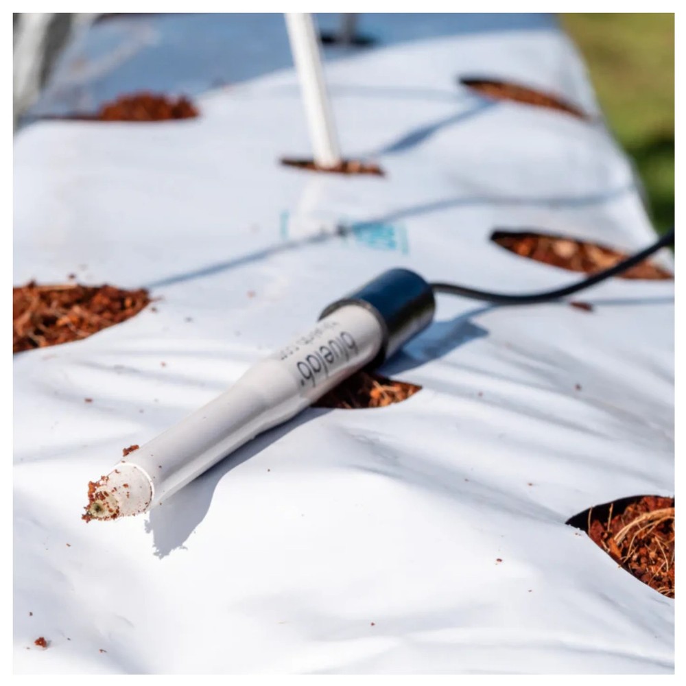 Bluelab Leap pH Probe (Probe Only) Hydroponic Garden Meter