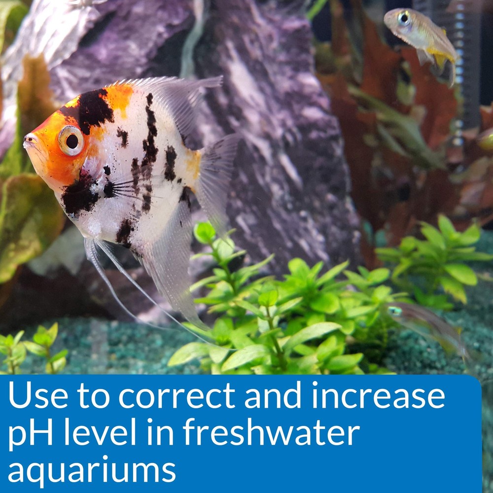 API pH Control Kit: pH Down 16oz & pH Up 4oz - Freshwater Aquarium