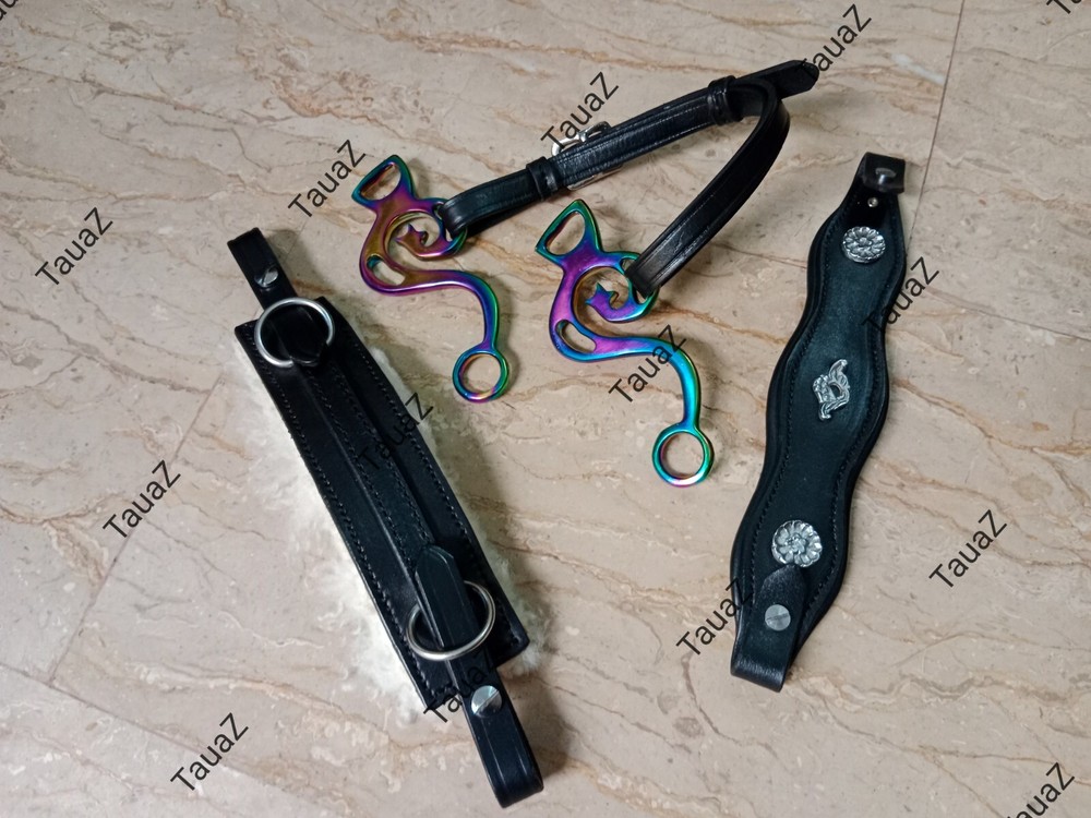 Hackamore with Multi Color shank & two different styles nose bands real leather