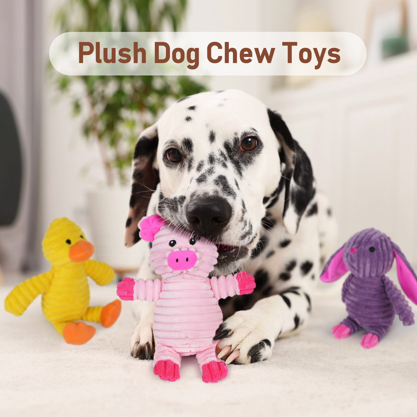 5 Pack Plush Toys Assortment Puppy Pet Squeak Toy for Small Medium Large Dogs