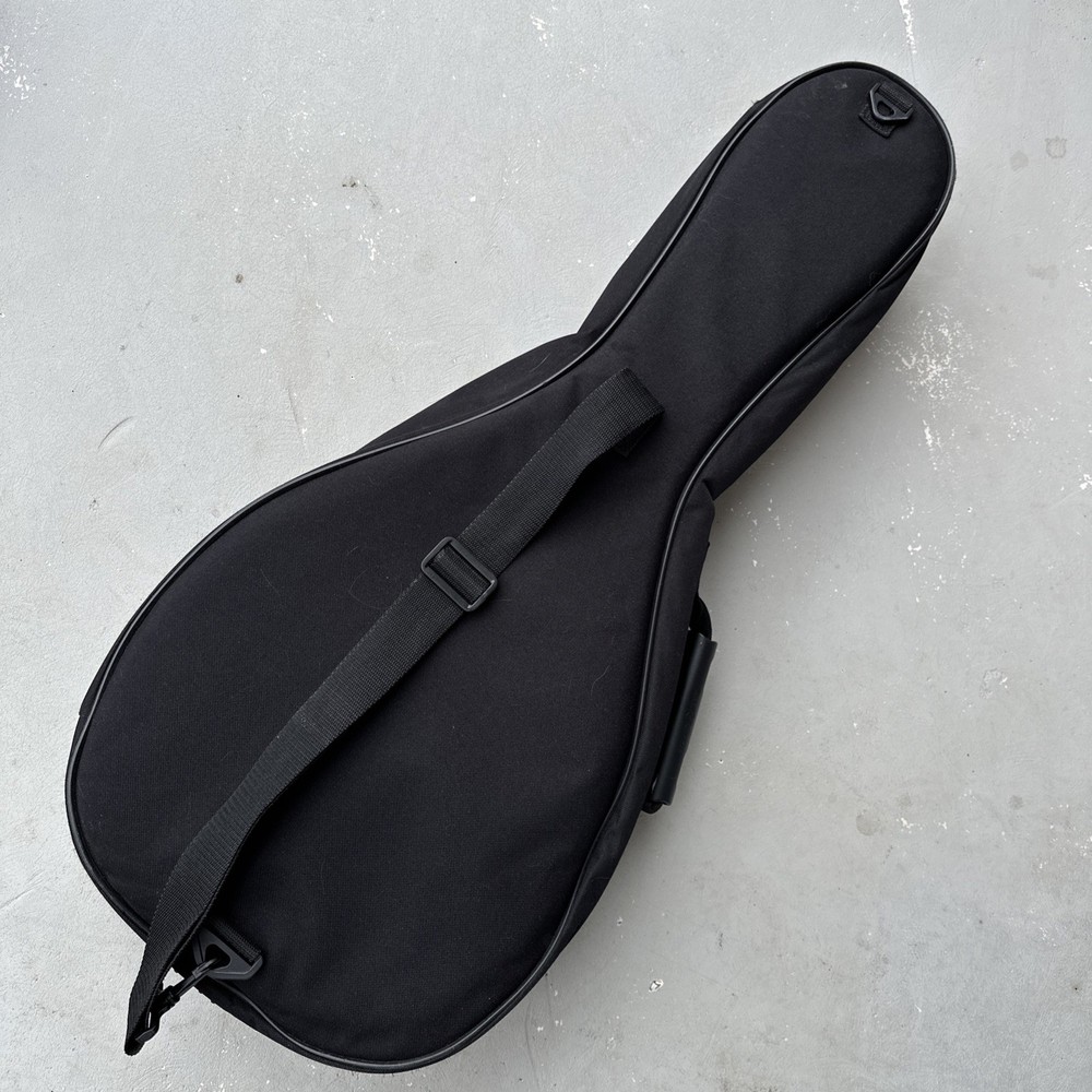 Roadrunner Mandolin Gig Bag