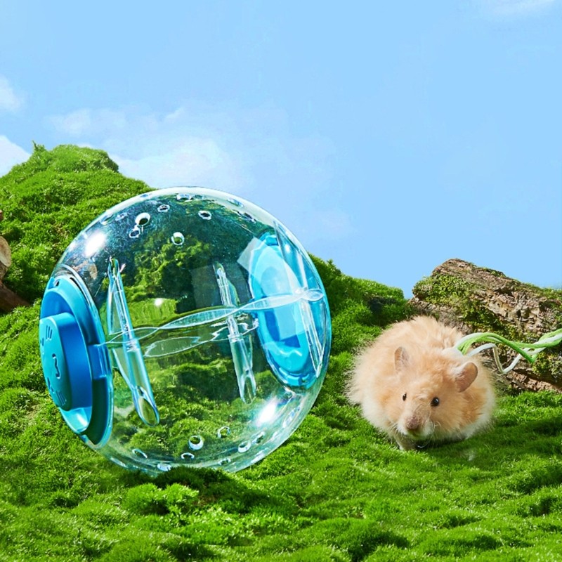 Hamster Exercise Sphere for Hamsters Gerbil Hamster Running Sphere
