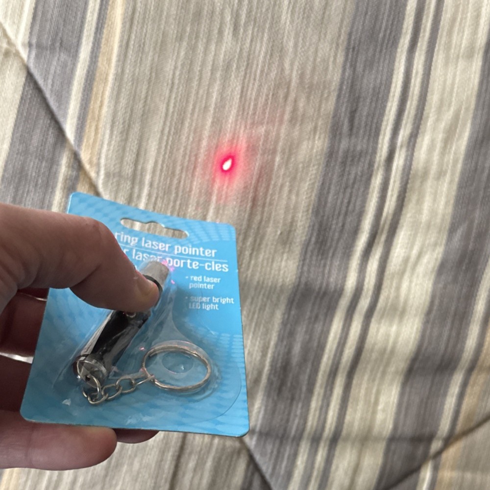 Greenbrier International Key Ring Laser Pointer Red Laser Super Bright LED Light