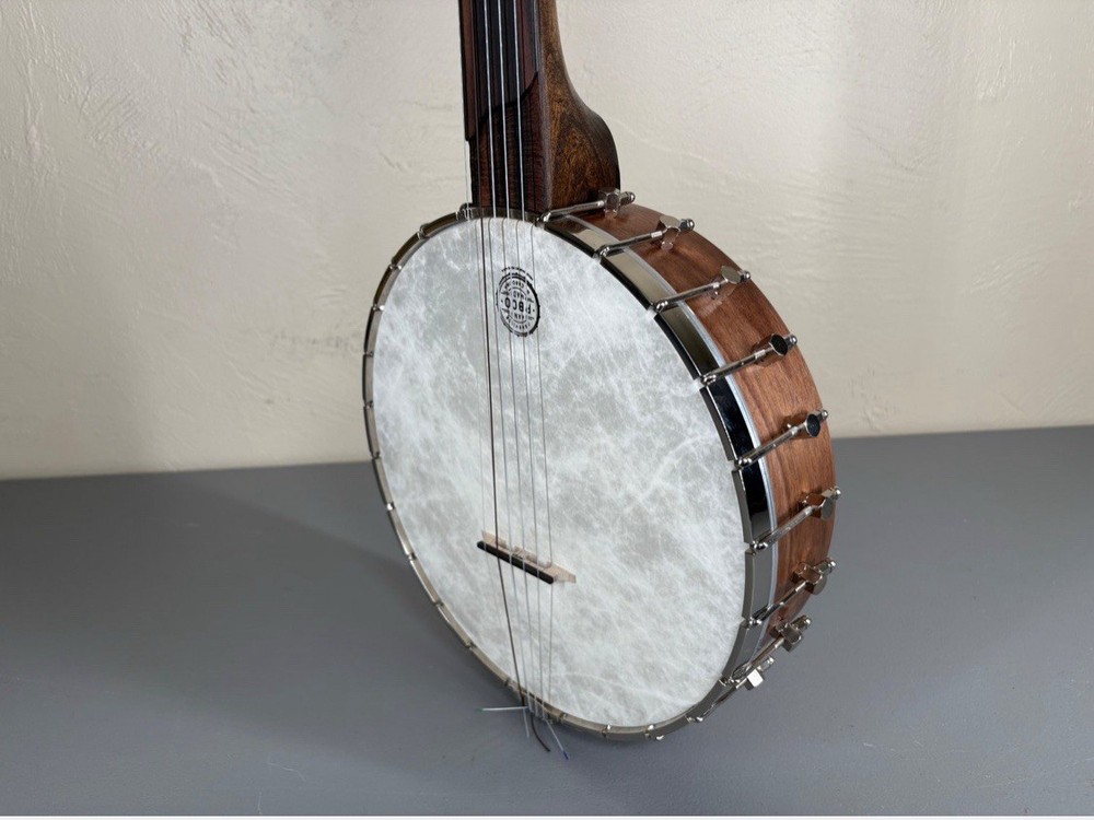 5-String Open-Back Banjo with Case in Excellent Condition, Nylon Strings
