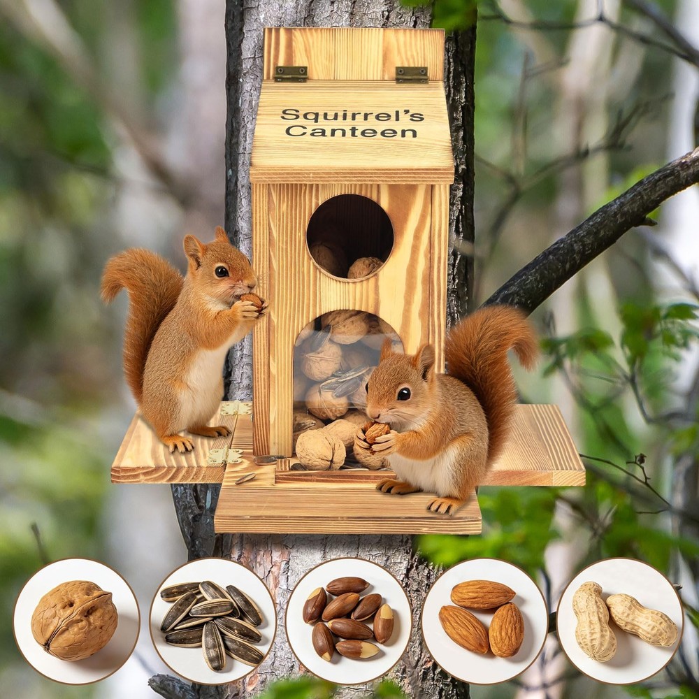 Squirrel Feeder With Standing Panel Wooden Nut Bar For Outside Chipmunk Box