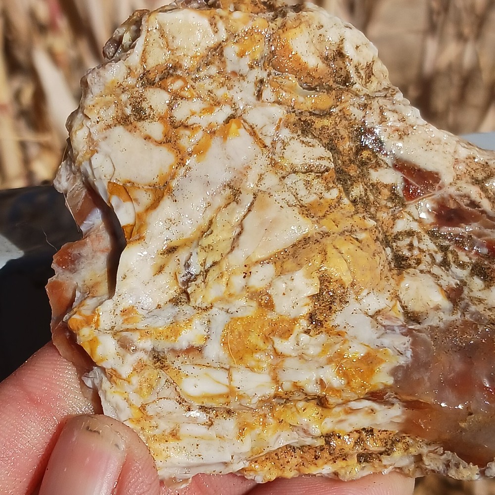 Chalcedony In Calcium Carbonate Red Agatized Jasper Specimen