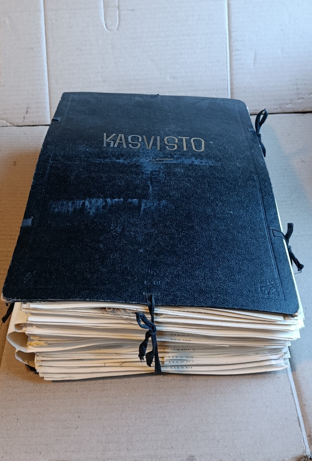 Antique Finnish Swedish Herbarium Botanical Pressed Plant specimens scrapbook