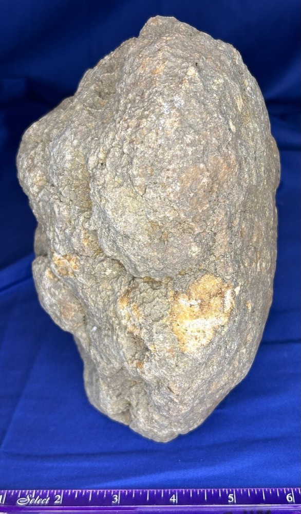Large Kentucky Geode Half Split Cut to Stand & Display Quartz Geode 6+ Pounds