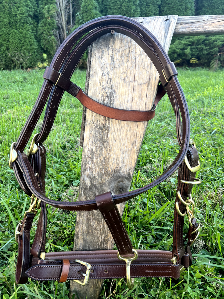 Leaders Heavy Duty True Draft Size Halter Bridle with Solid Brass Hardware