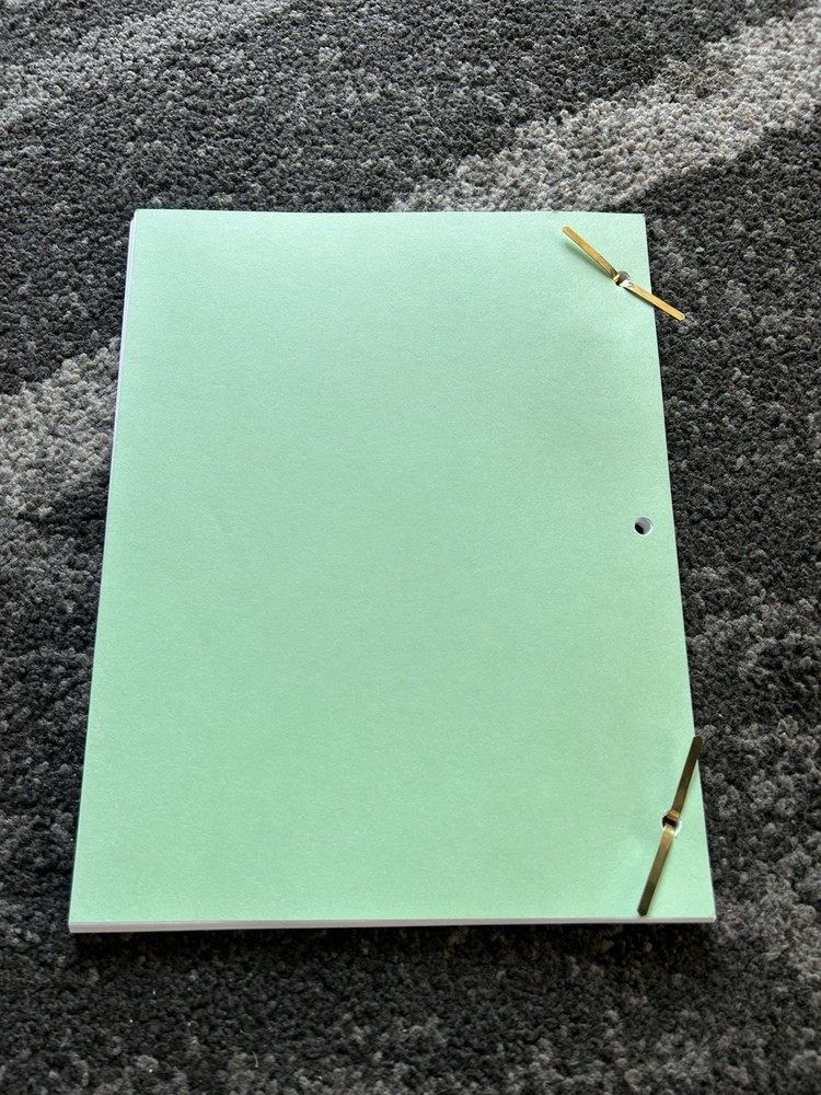 The Simpsons Lisa’s Rival Original Script 1993 S6 Ep 2 Animation