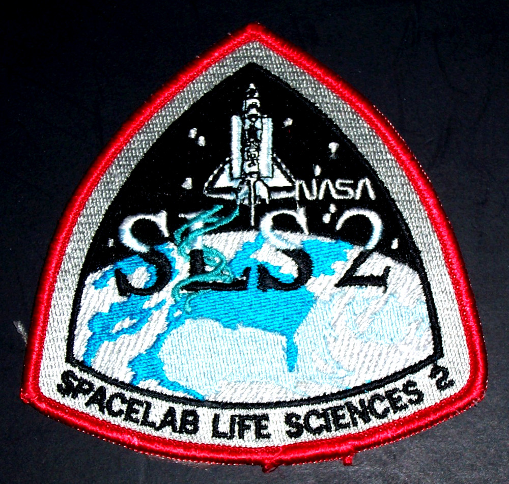 Patch - 4 " - NASA - SLS 2 Mission  - Iron On