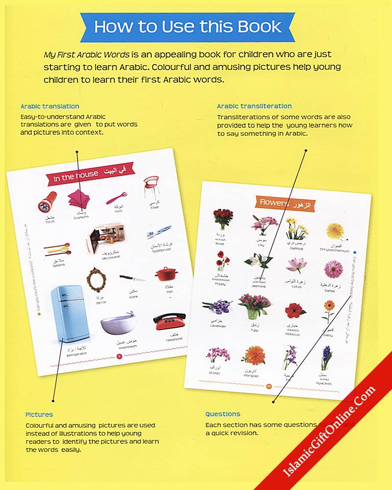 My First Arabic Words