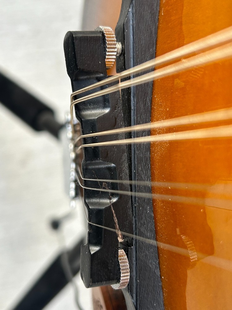 Savannah so-sa090-tsn Mandolin 8 string with Pickup (read)