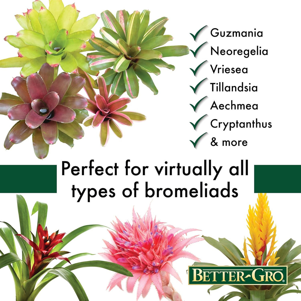Bromeliad Blend 8 Quart