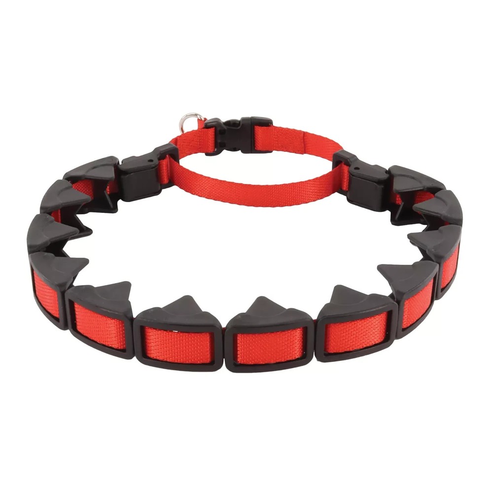 Coastal Natural Control Training Collar Large  1" x 22"