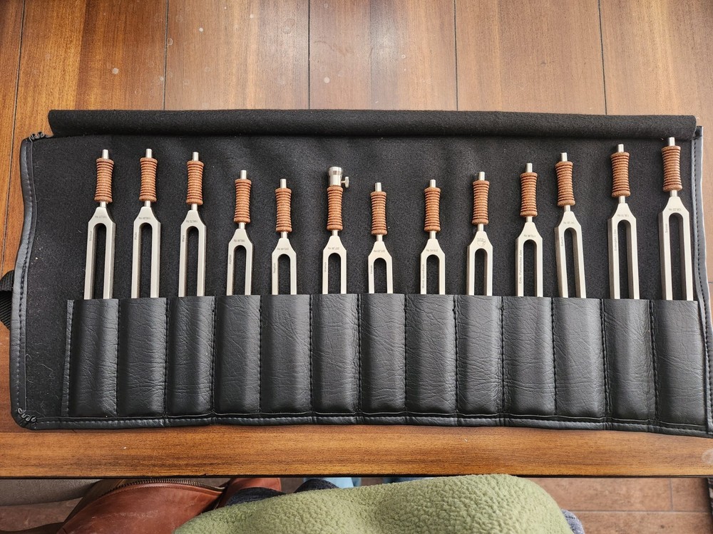 Planet Ware Cosmic Octave Planetary Frequency Lplus Tuning Fork Set 2020 Cousto