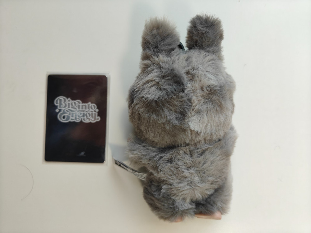 Authentic POP MART The Monster Big into Energy Pendant Hidden Edition-ID