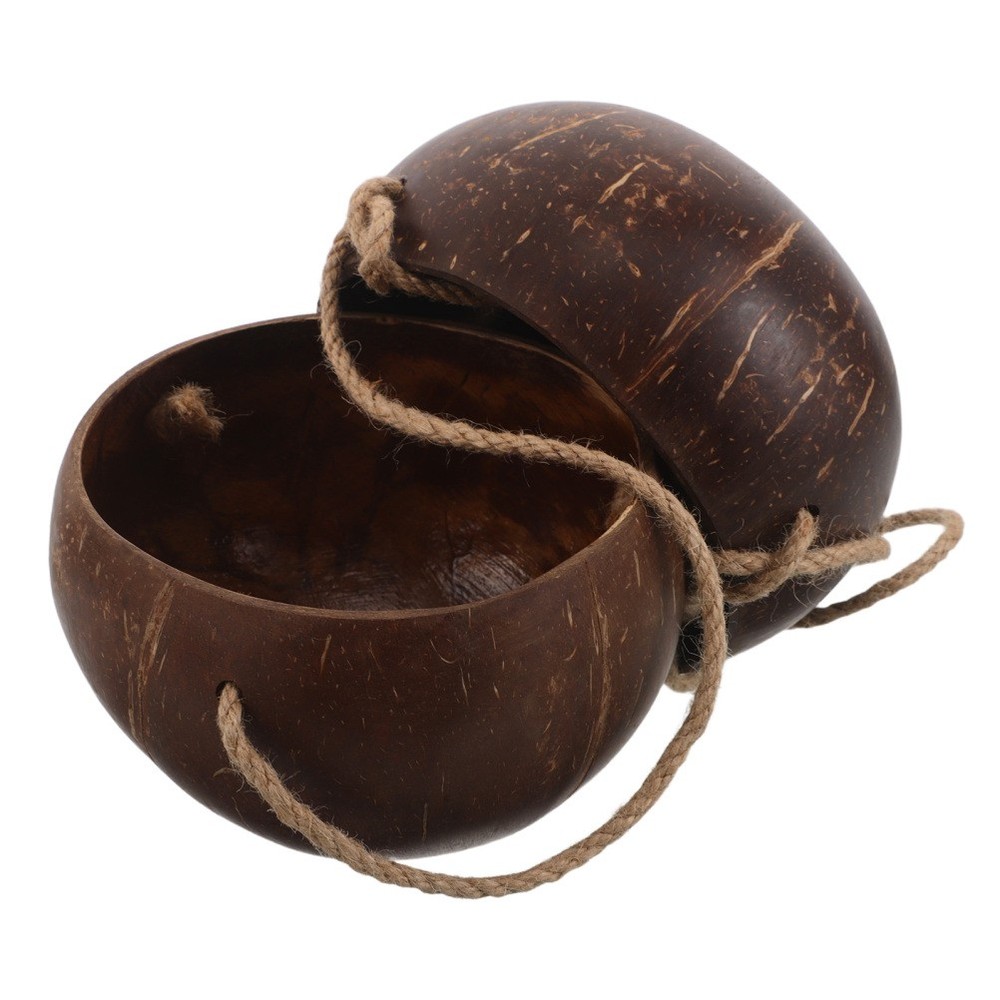 Coconut Shell Flower Pot: 2-Tier Hanging Wall Planter - Coconut Shell Planter
