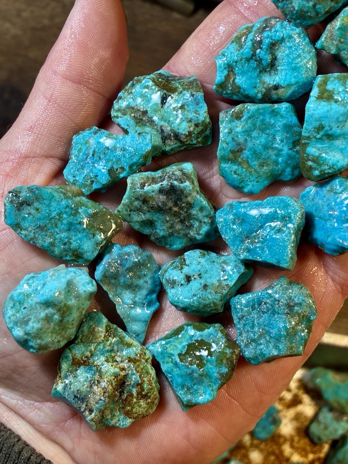 1 Lb. Ithaca Peak, Real Turquoise! Electric blues! High in matrix. ❤️‍🔥3 Left!
