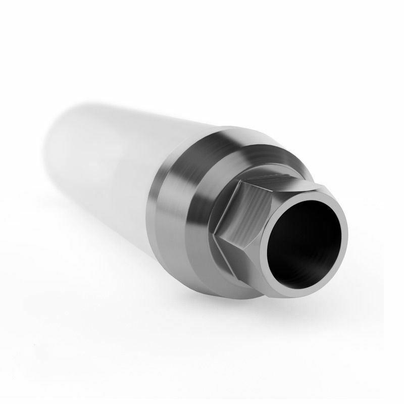 2X Dental UCLA Plastic Castable Abutment Titanium Base Int Hex screws Casting