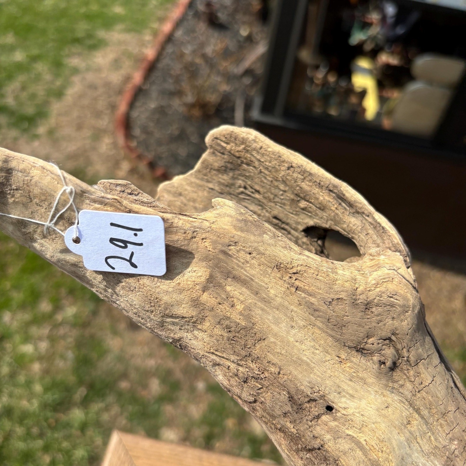 Lightweight Hollow Driftwood 22x4x8 – Sculptural Wood Natural Holes Aquarium