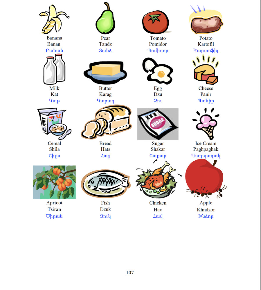 296 page  SF SOF Special Forces ARMENIAN LANGUAGE Text on Data CD