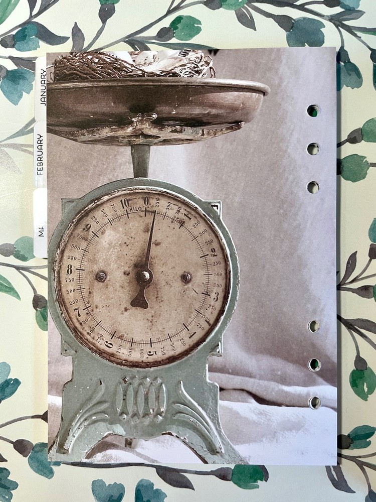 Carpe Diem Undated A5 Planner Inserts - Choose Joy