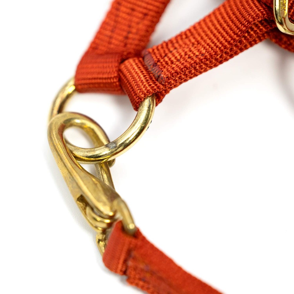 3/4" Adj Weanling Halter W/Snap Rust