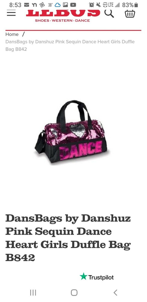 Dance Bag Bundle, 1 Medium Pink Sequin And Silver Small