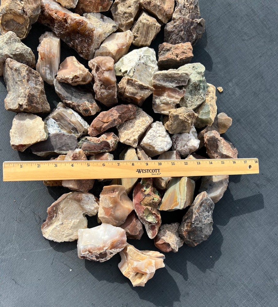 Owyhee Agate/Jasper Rough Lot 30.5 lbs (LL4)