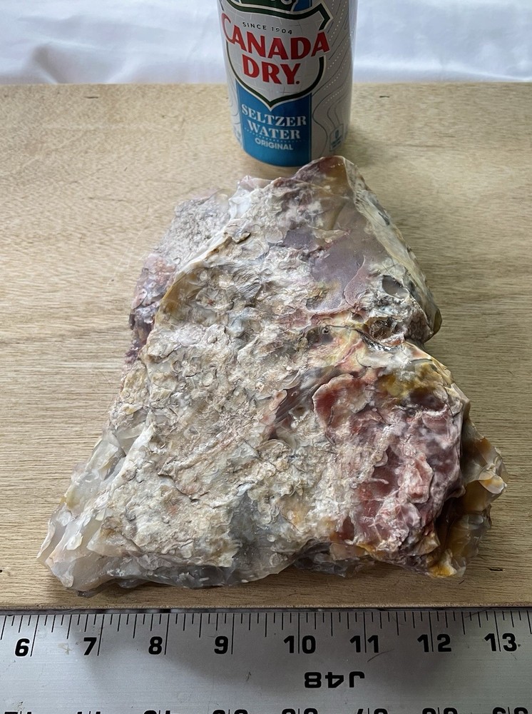 Petrified Wood Collection