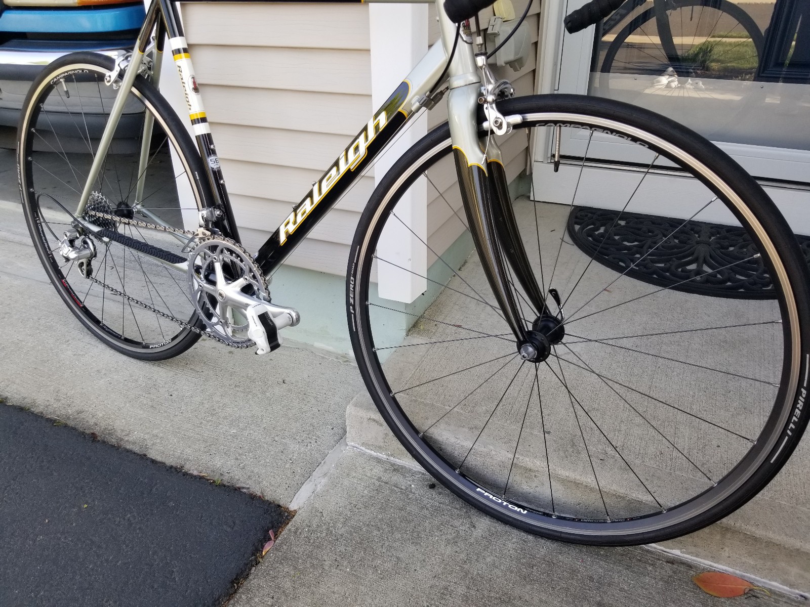 2003 Raleigh Professional, 56cm Columbus Steel Frame, Campagnolo Chorus Group