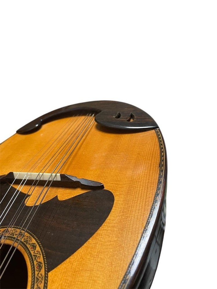 Suzuki violin mandolin M-218 with hard case