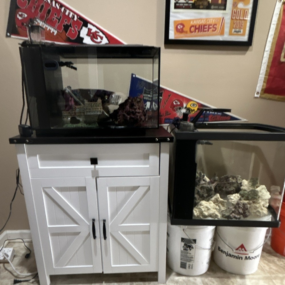Glass Rectangle Fish Tank with Stand, Includes Decorations