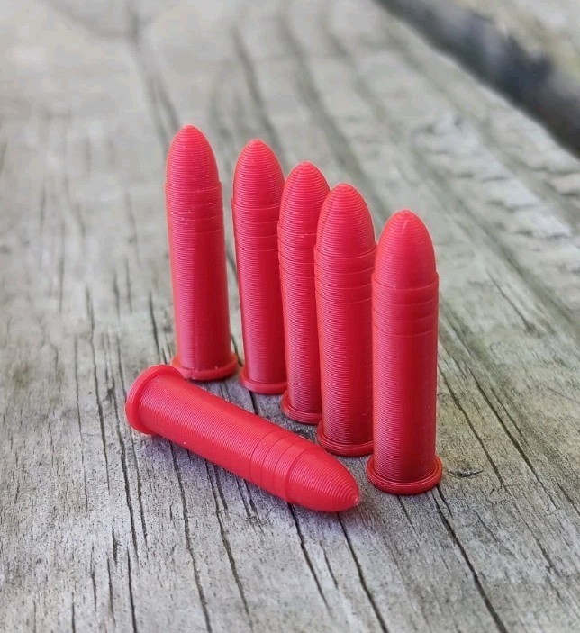 .22 LR Snap Caps / Dummy Rounds / Dry Fire Training - 10 Pack, Red
