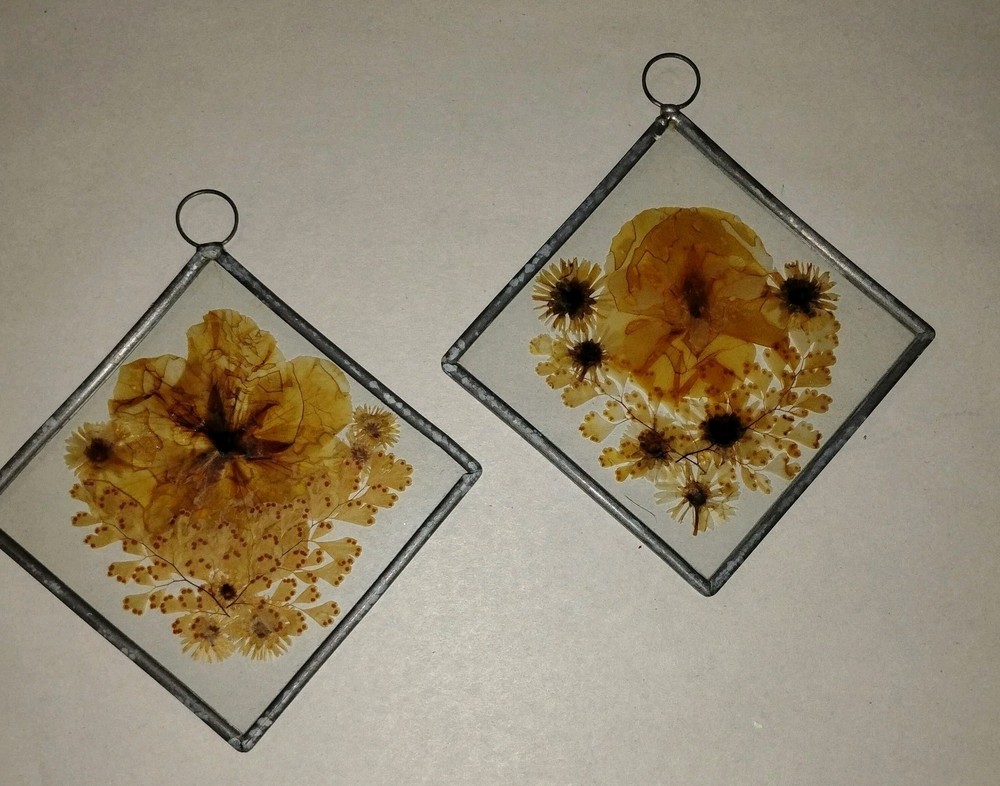 Pressed Flower Window Suncatcher x 2