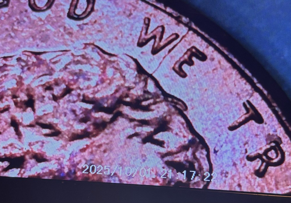💥 2015 P Lincoln Cent Obverse Die Crack ERROR