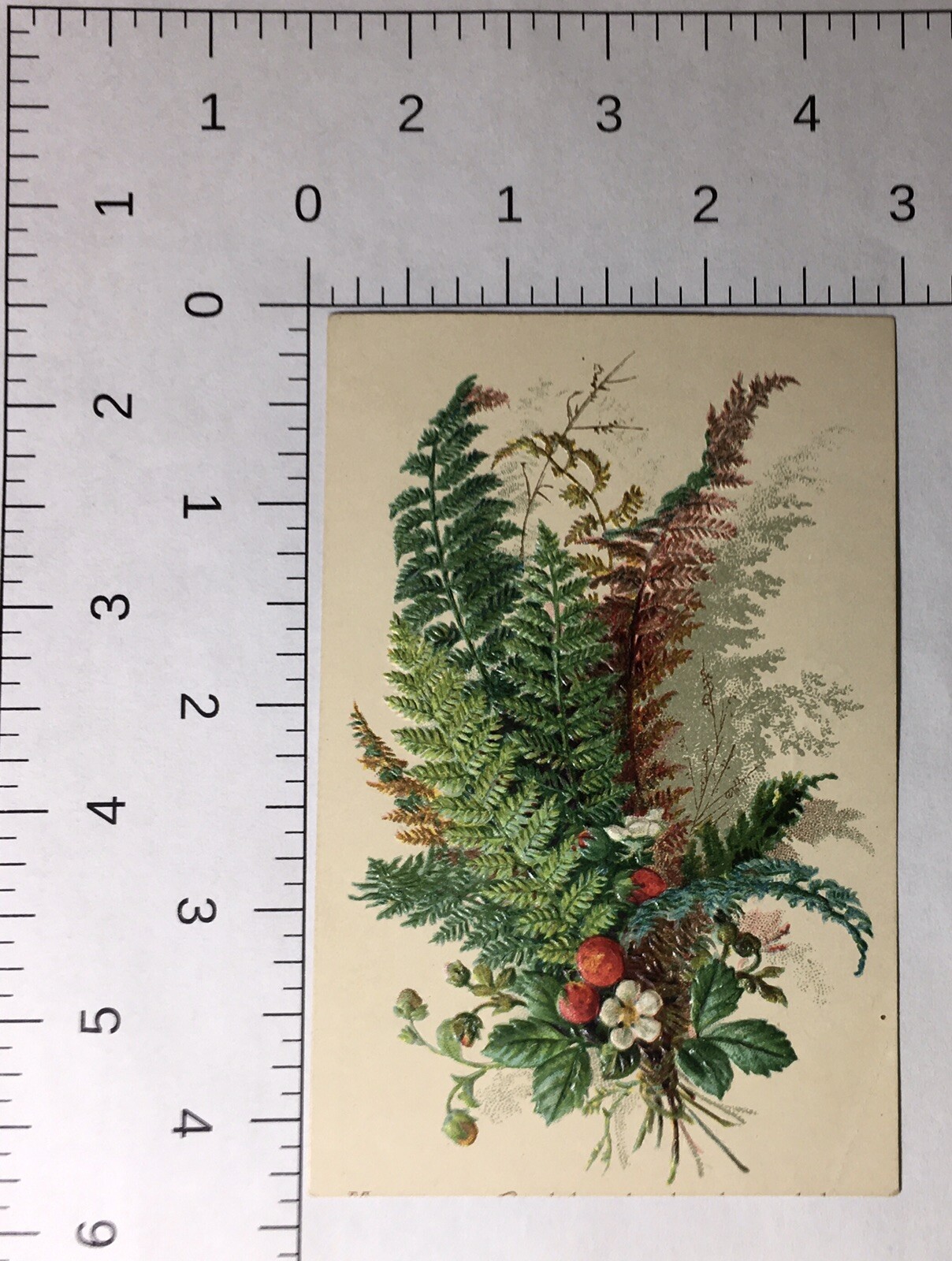 Victorian Card Lovely Fern & Flowers Embossed