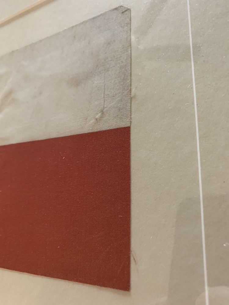 Early 1900s Texas Parade Flag