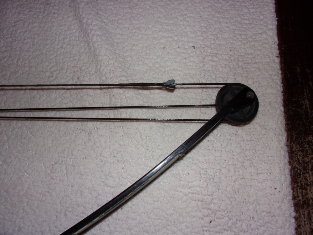 Bear Archery Compound Bow