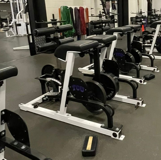 Sorinex | Plate Loaded FrankenHyper (GHD & Reverse Hyper Combo)