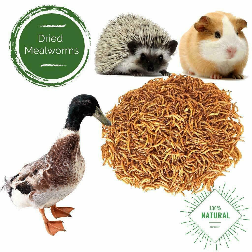 LOT Dried Mealworms Non-GMO Fit Wild Birds Chickens Hen Fish Reptile 0.6-44 LBS