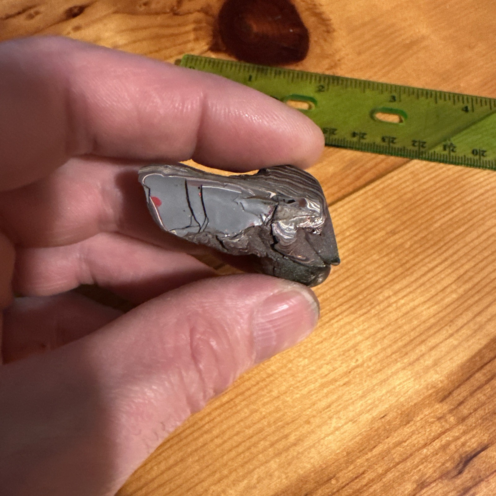 Corvette Fordite specimen from Bowlinggreen Kentucky early 2000s