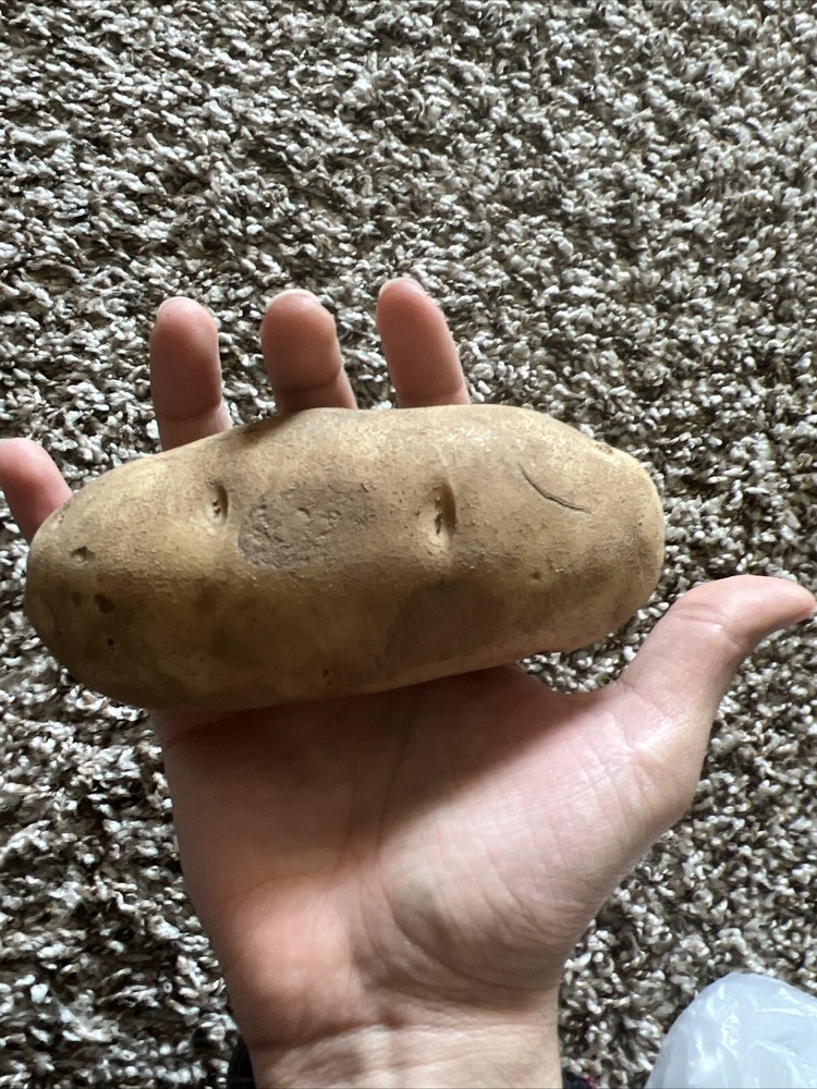 Send A Potato To Someone With A Custom Message Anonymously *Read Description*