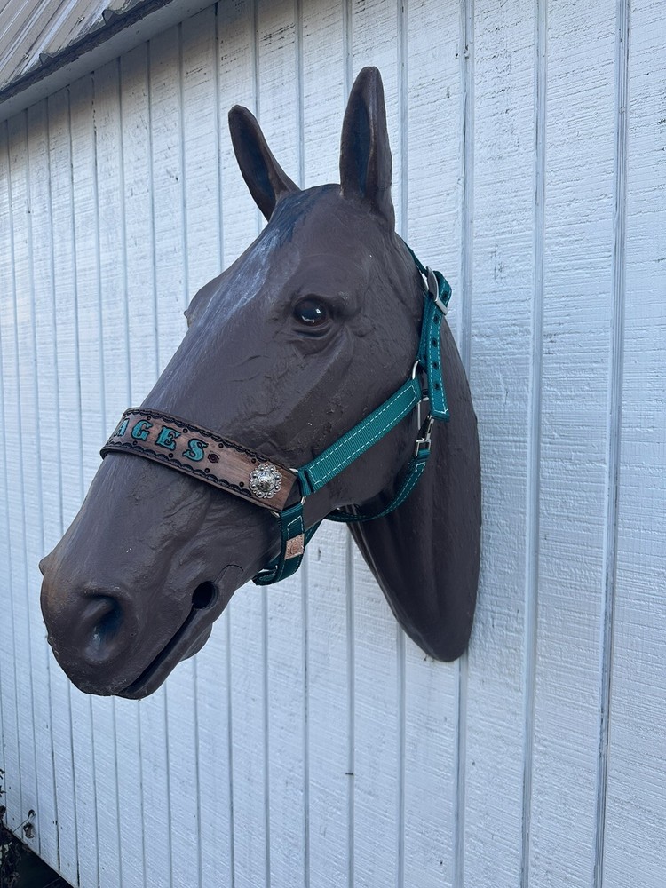 Personalized Nylon Horse Halter In Teal