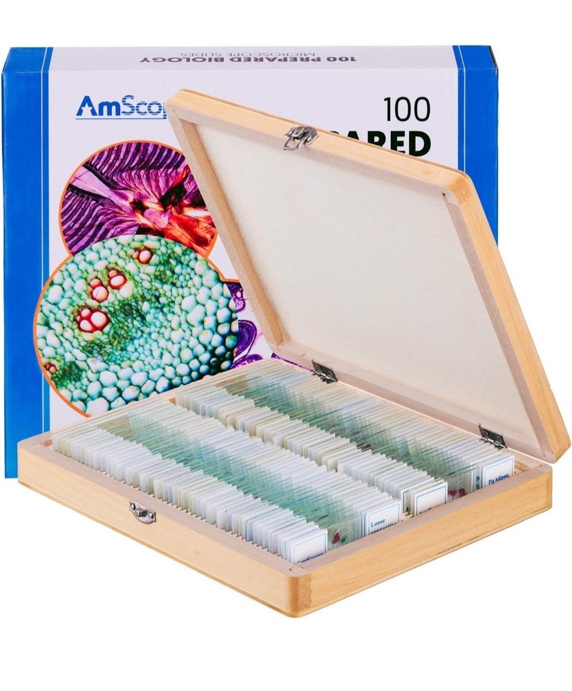 AmScope PS100B 100 Homeschool For Basic Biology Prepared Microscope Slides -Set