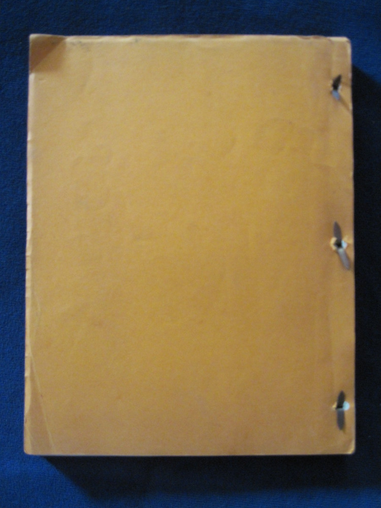 ORIGINAL UNFINISHED WORKING SCRIPT 'SINCE YOU WENT AWAY' by JEFFREY DANIEL