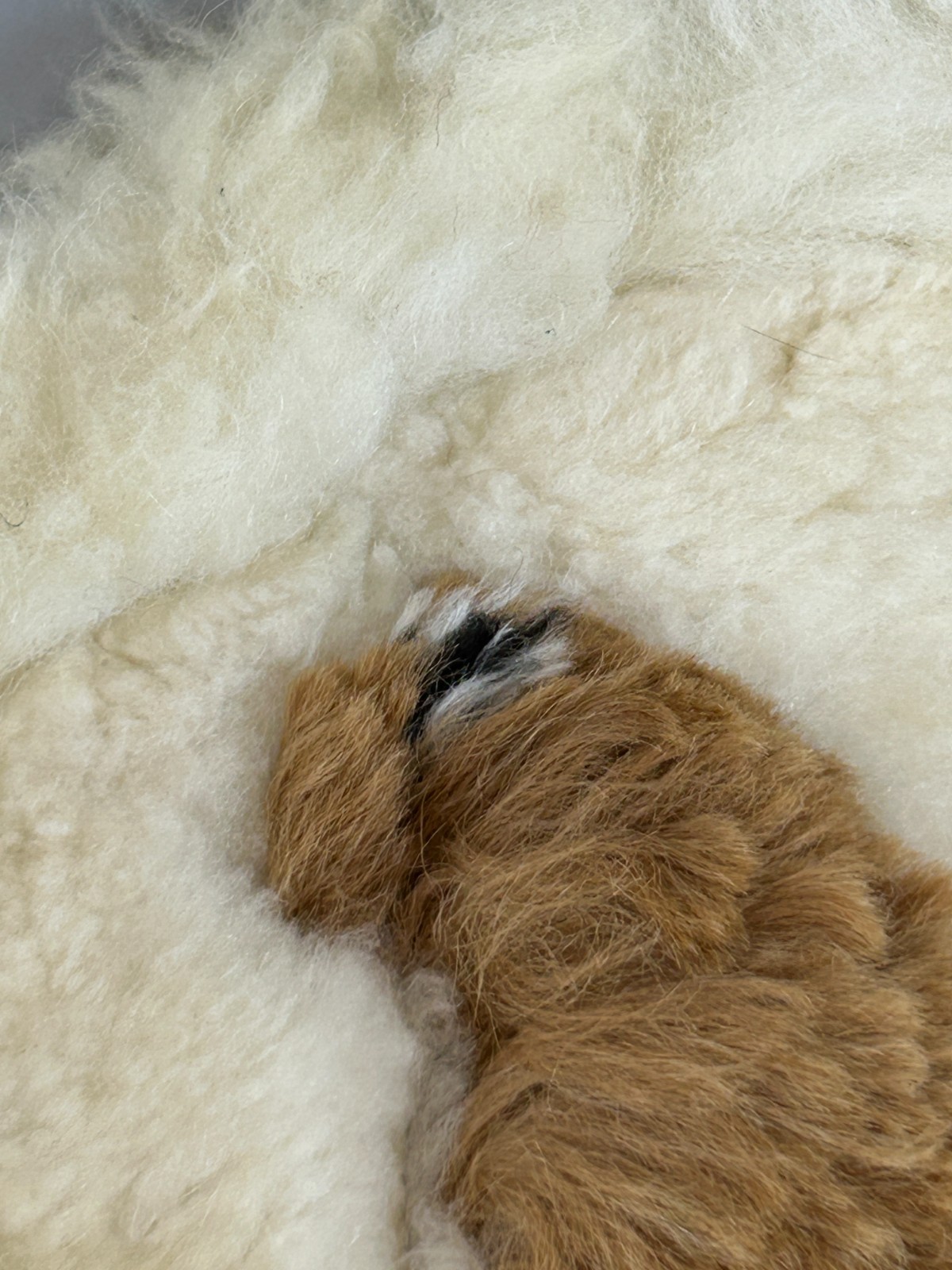 Set of 2 Alpaca Fur Round Rug Wall Hanging Decoration Pillow Cover 18" Peru