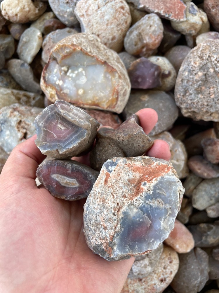 Mozambique Agate