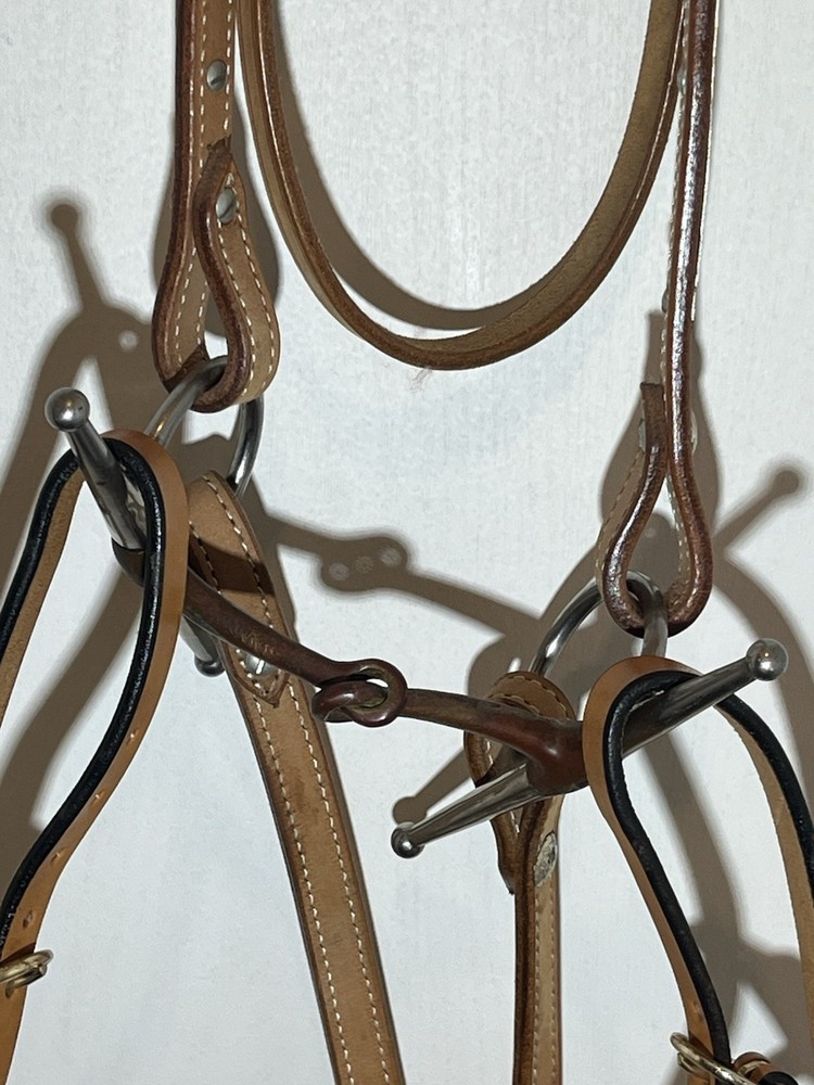 Head Stall With Breast Collar Bit Included. ￼